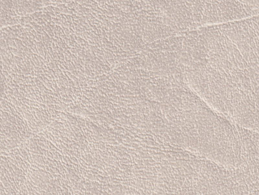 Throne bone 140 cm  30 lfm pro Rolle